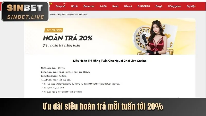 Bí quyết chơi casino trực tuyến tại dkbet8 nhà cái